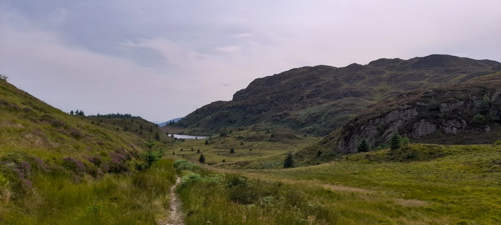 Photo of moorland, looking towards Corran Lochan.