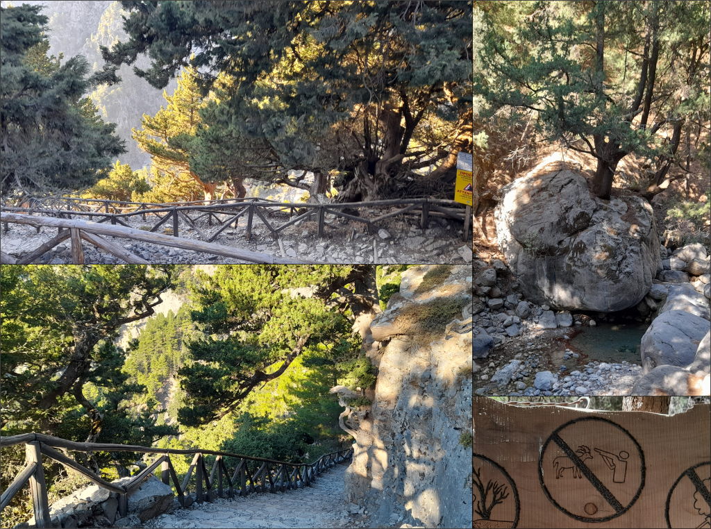 Photos from the start of the Samaria Gorge walk