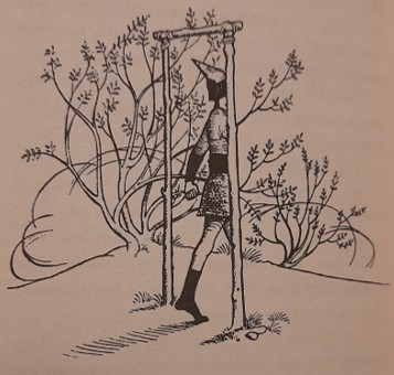 Illustration by Pauline Baynes from Prince Caspian by C. S. Lewis: a Telmarine soldier walks through Aslan's portal back to our world