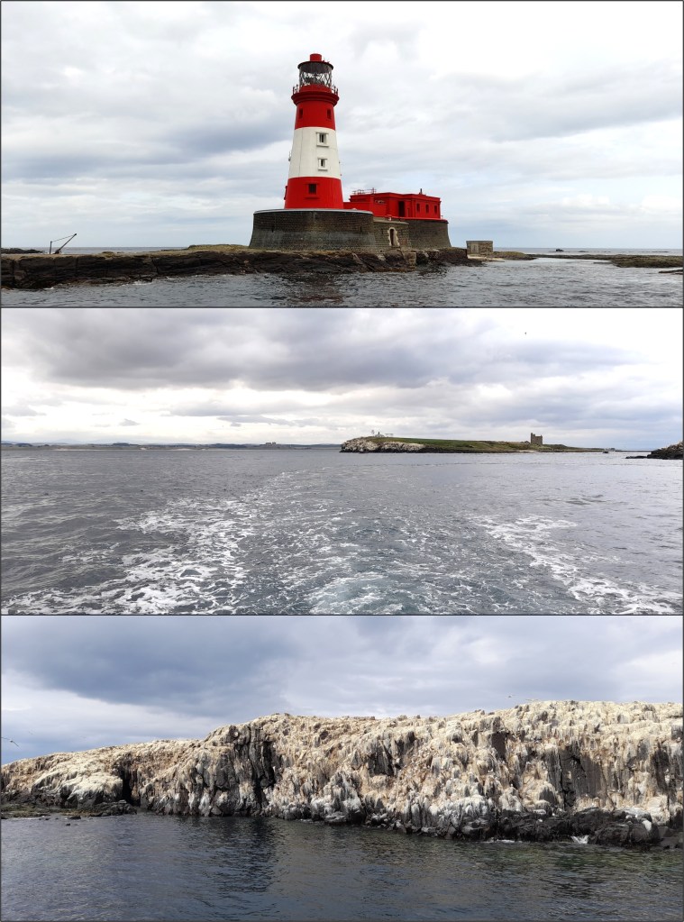 The Farne Islands and the Grace Darling lighthouse